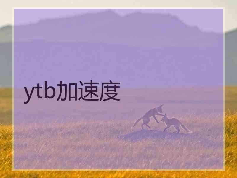 ytb加速度