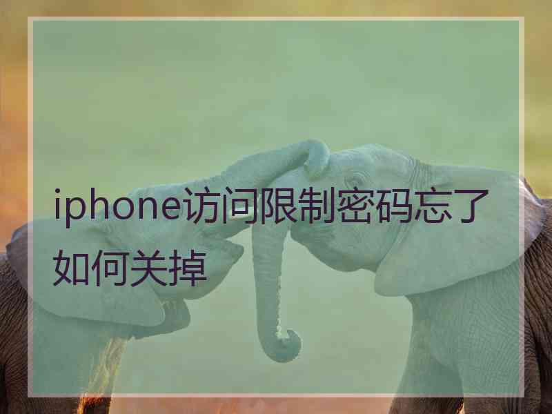 iphone访问限制密码忘了如何关掉