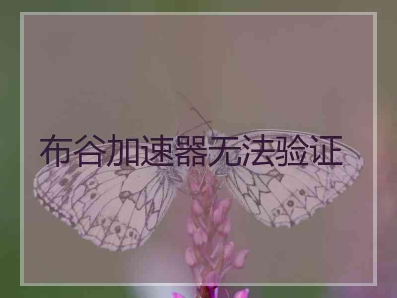 布谷加速器无法验证