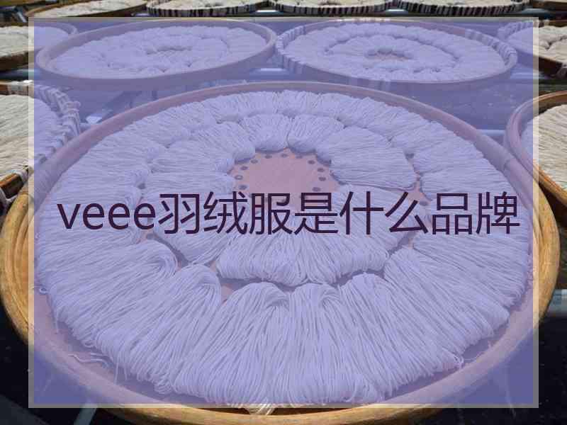 veee羽绒服是什么品牌