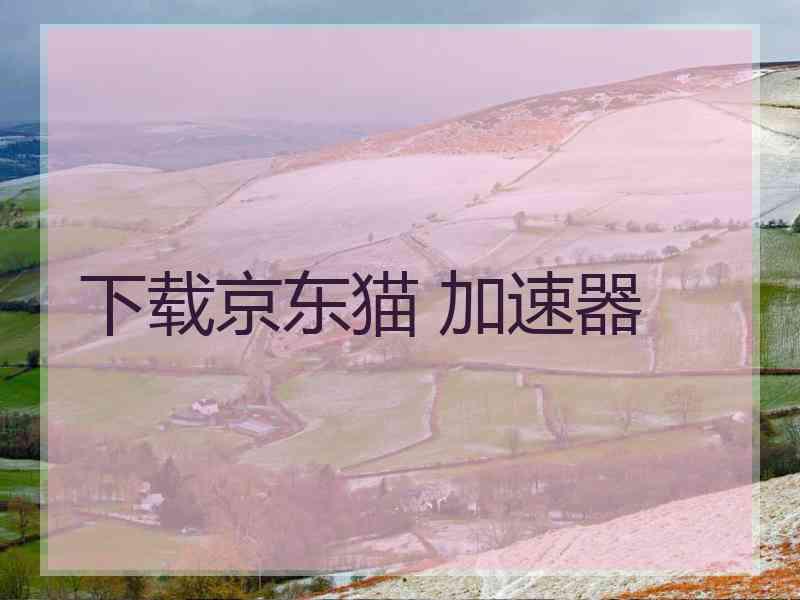 下载京东猫 加速器