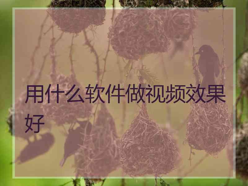 用什么软件做视频效果好
