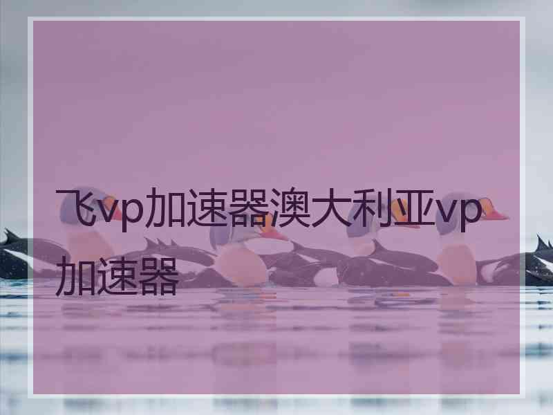 飞vp加速器澳大利亚vp加速器