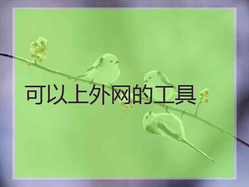 可以上外网的工具