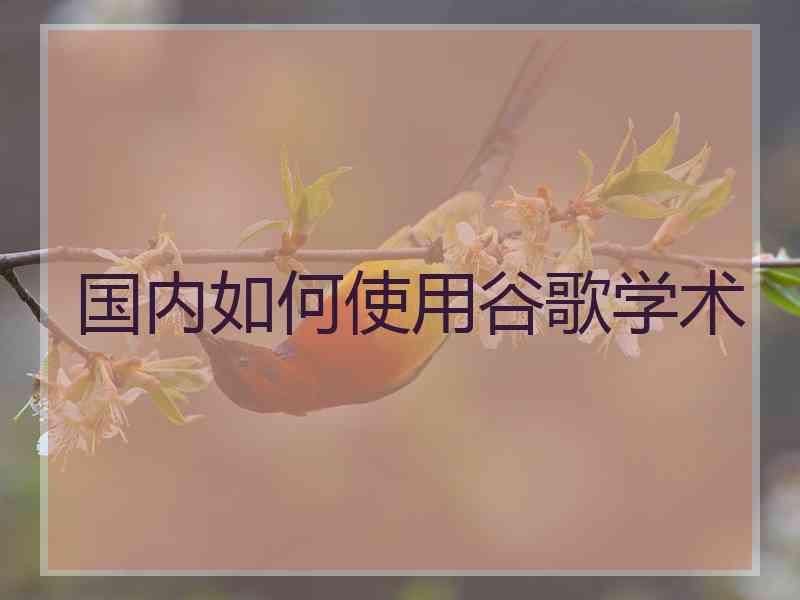 国内如何使用谷歌学术