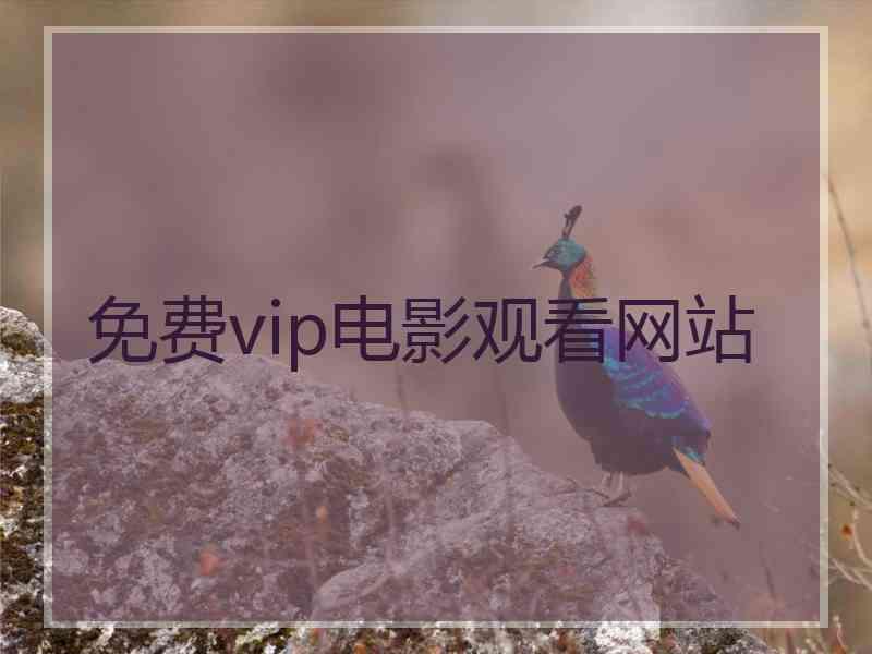 免费vip电影观看网站