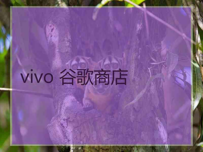 vivo 谷歌商店