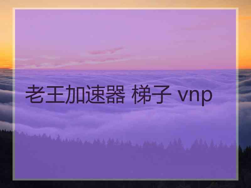 老王加速器 梯子 vnp