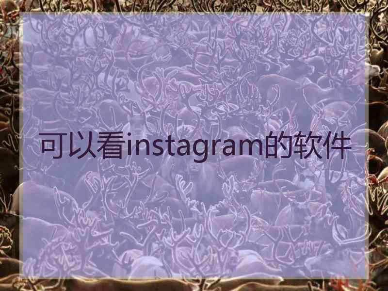 可以看instagram的软件
