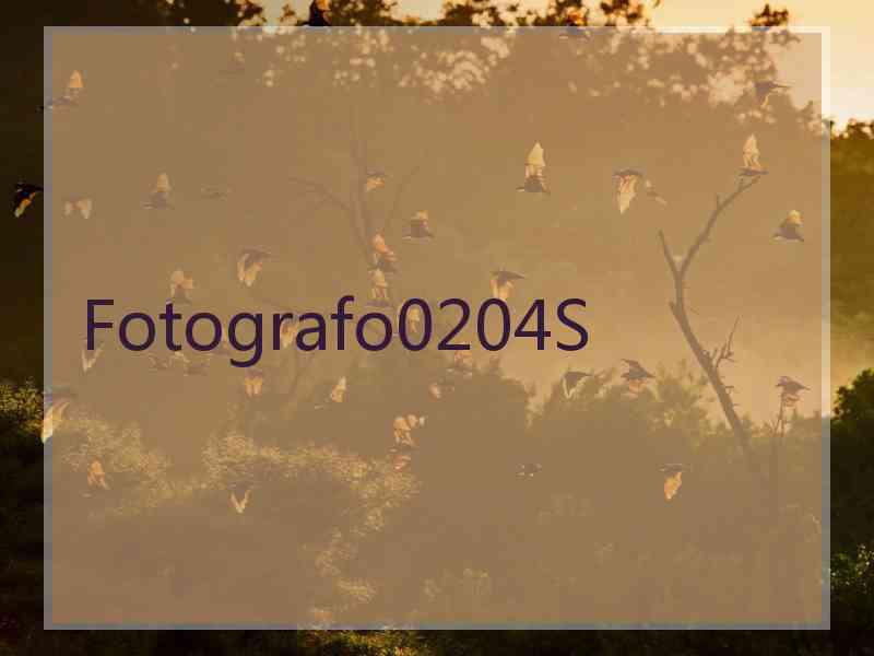 Fotografo0204S