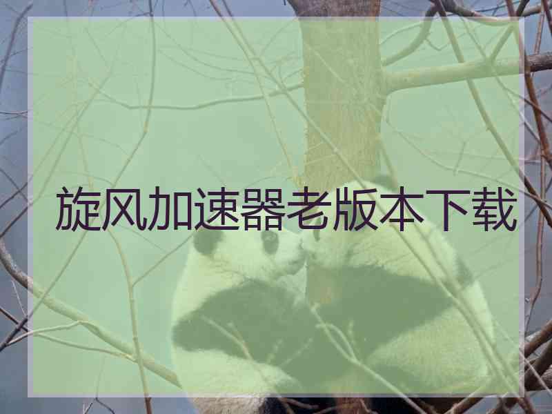 旋风加速器老版本下载