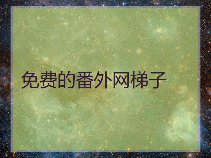 免费的番外网梯子