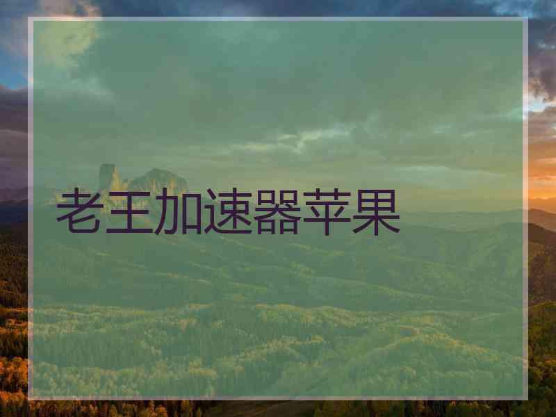老王加速器苹果