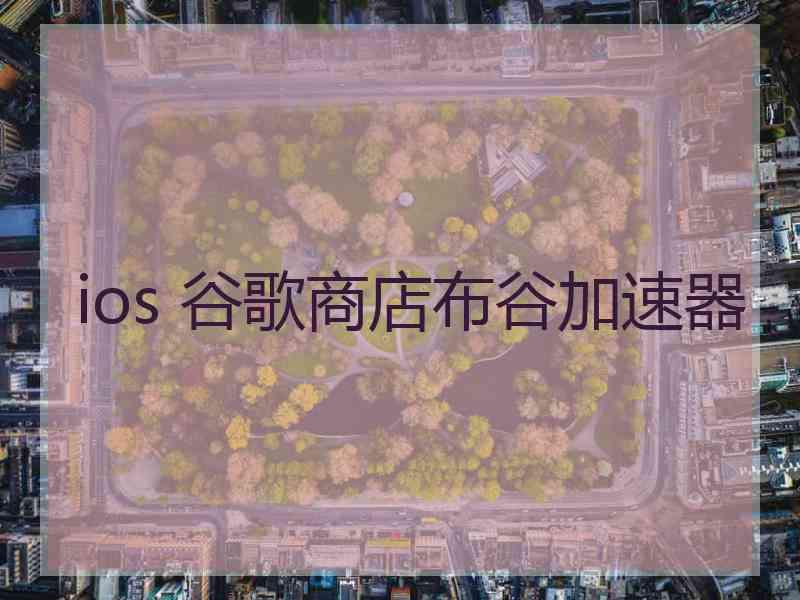 ios 谷歌商店布谷加速器