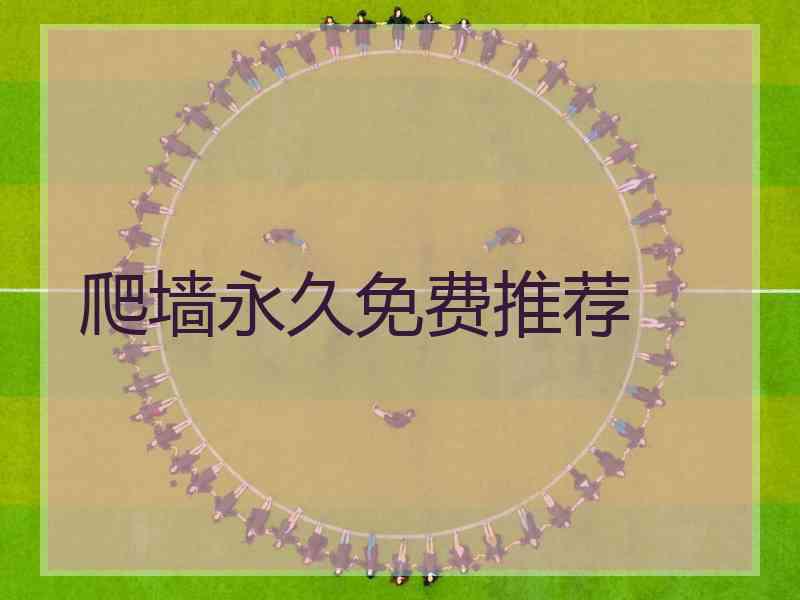 爬墙永久免费推荐