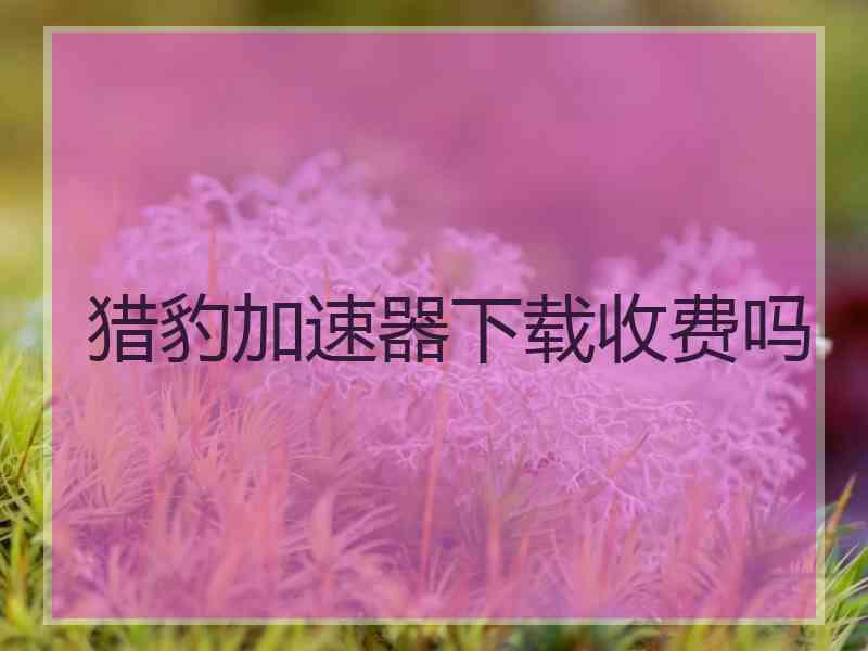 猎豹加速器下载收费吗