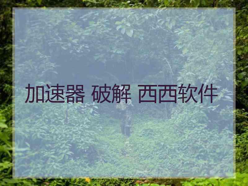 加速器 破解 西西软件