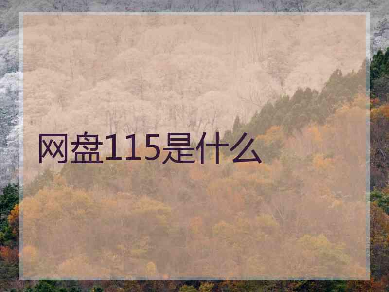 网盘115是什么