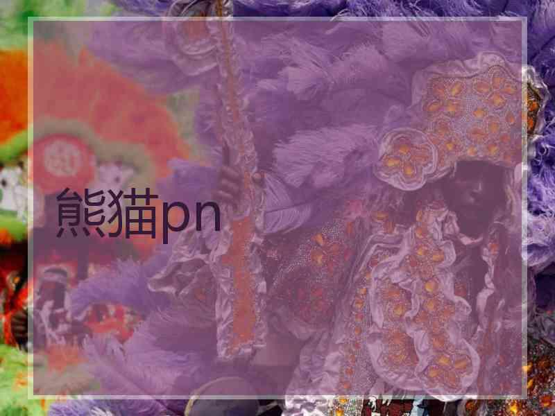 熊猫pn