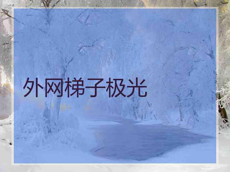 外网梯子极光