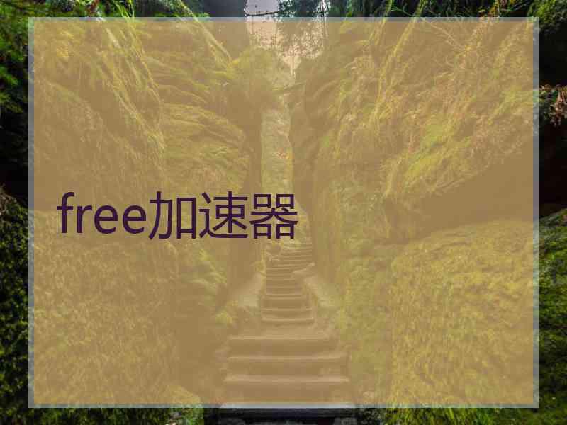free加速器