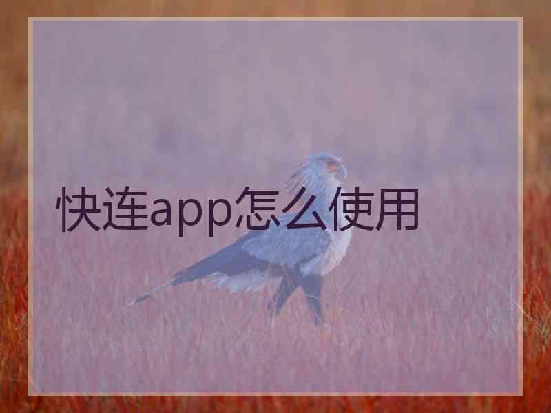 快连app怎么使用