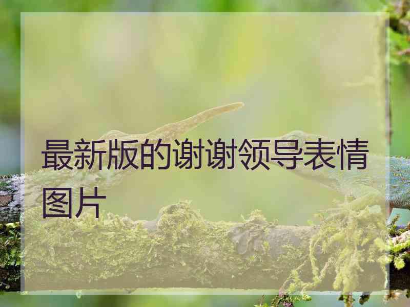 最新版的谢谢领导表情图片