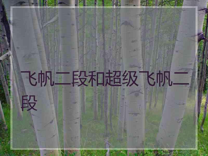 飞帆二段和超级飞帆二段