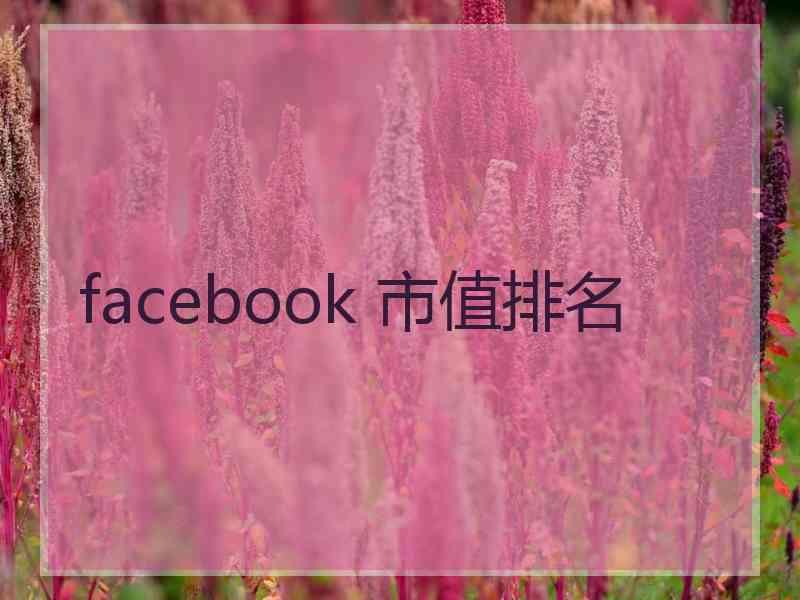 facebook 市值排名