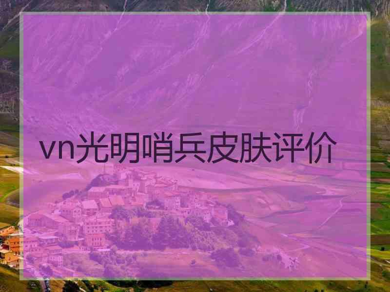 vn光明哨兵皮肤评价