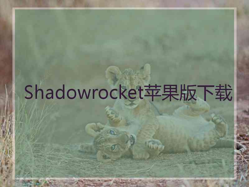 Shadowrocket苹果版下载