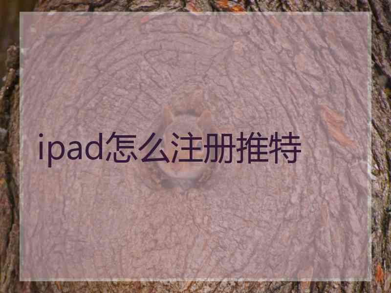 ipad怎么注册推特