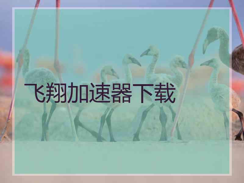飞翔加速器下载