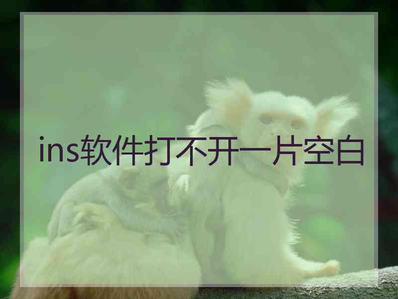 ins软件打不开一片空白