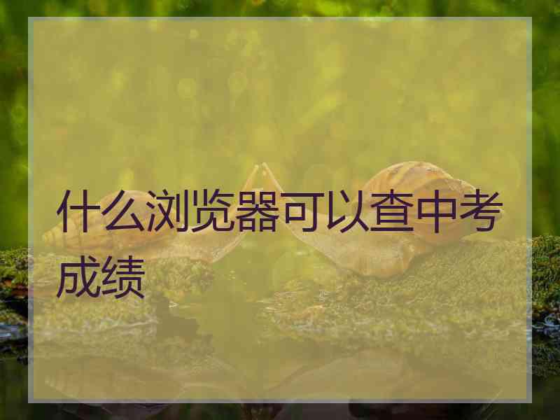 什么浏览器可以查中考成绩
