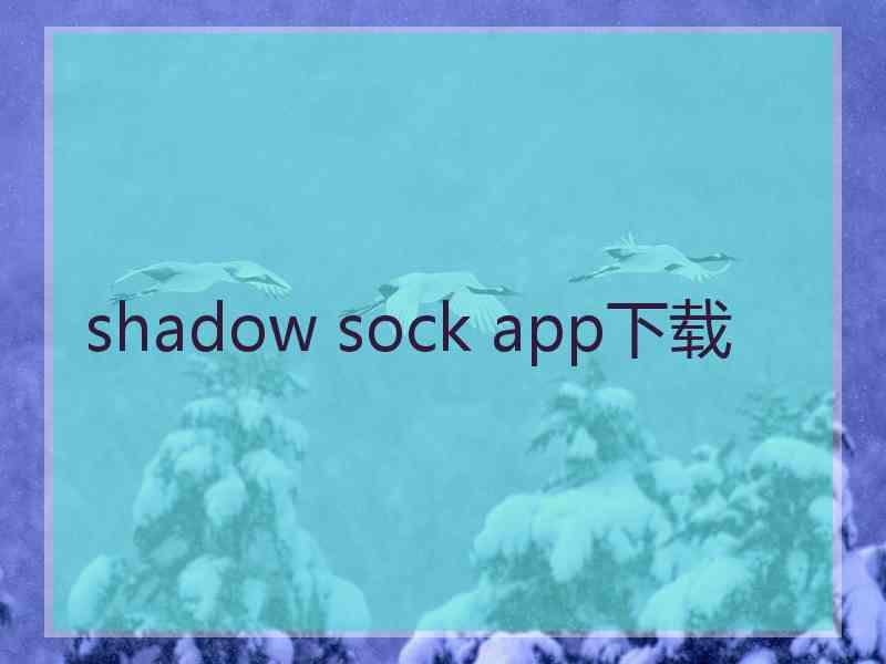 shadow sock app下载
