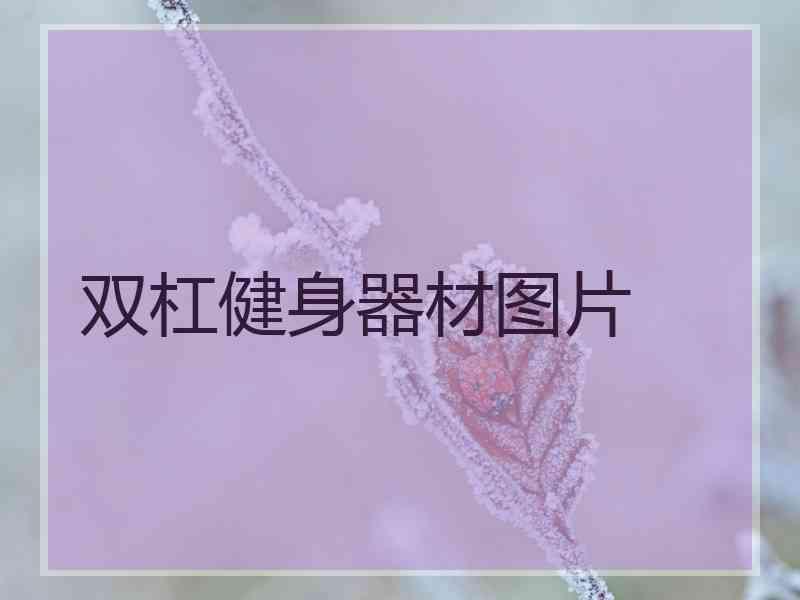 双杠健身器材图片