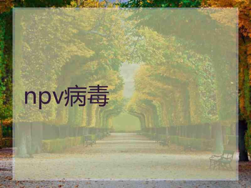 npv病毒