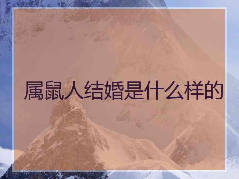 属鼠人结婚是什么样的