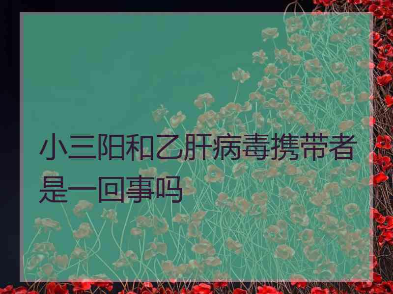 小三阳和乙肝病毒携带者是一回事吗