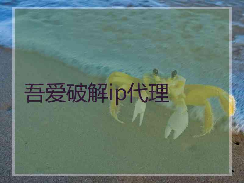 吾爱破解ip代理