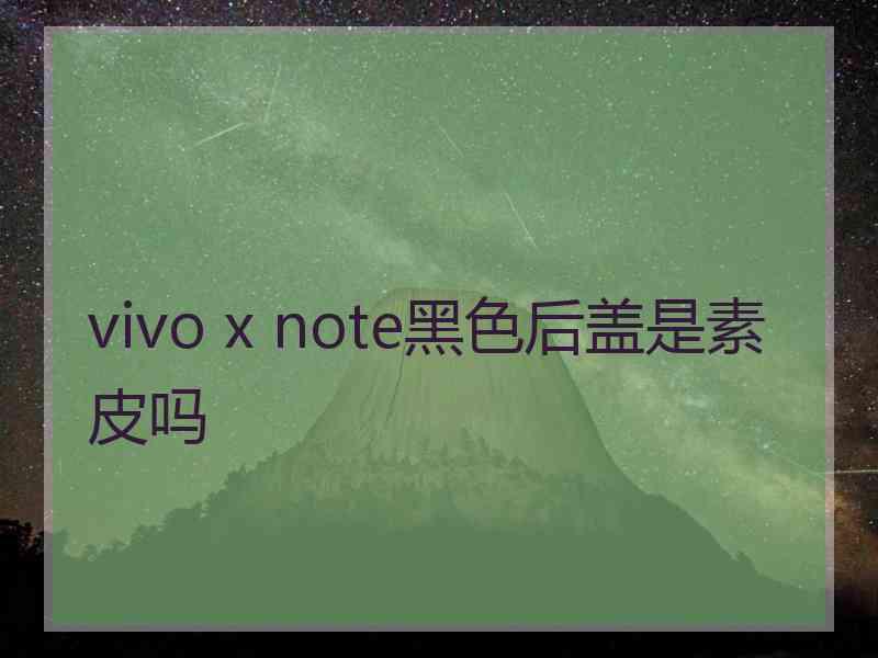 vivo x note黑色后盖是素皮吗