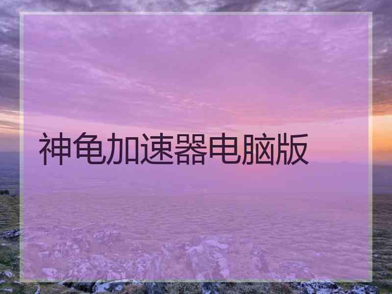 神龟加速器电脑版