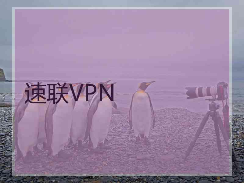 速联VPN