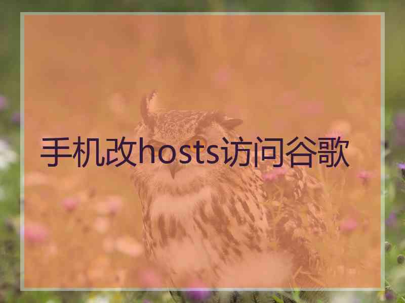 手机改hosts访问谷歌