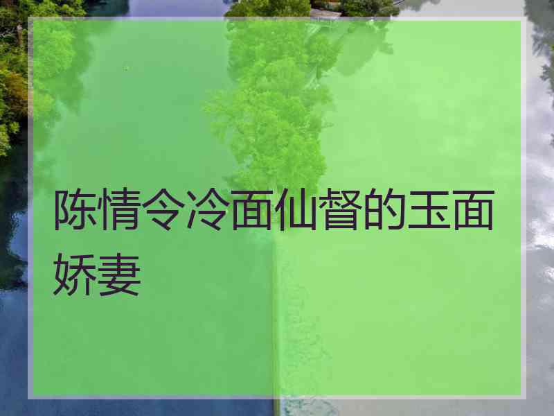 陈情令冷面仙督的玉面娇妻