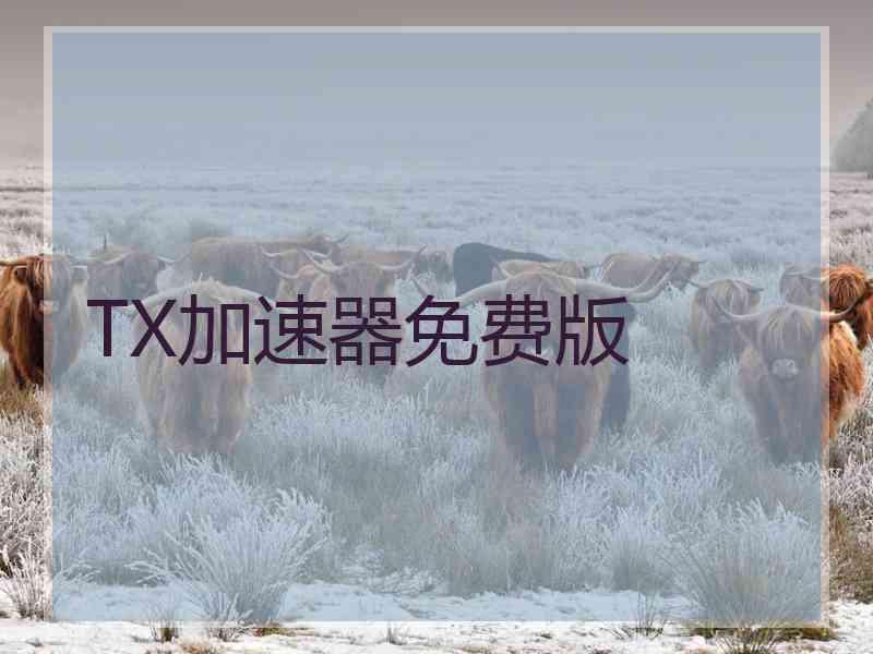 TX加速器免费版