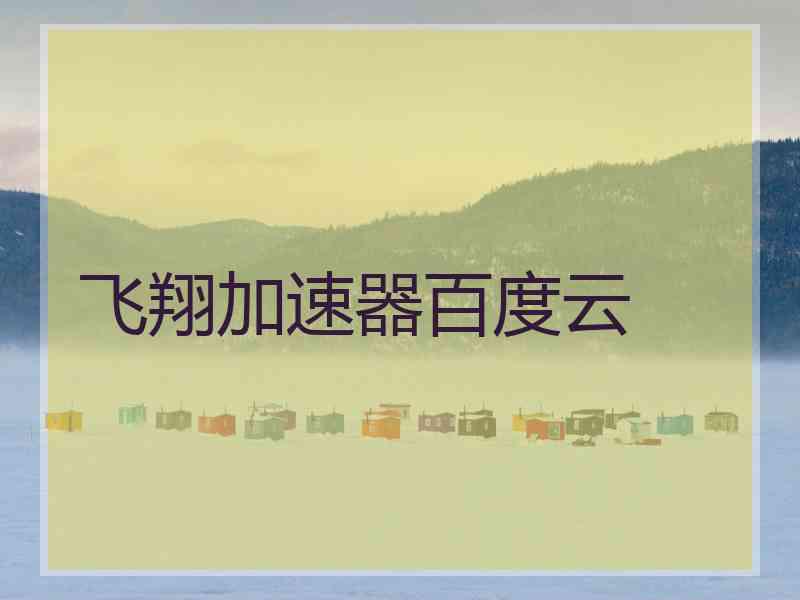 飞翔加速器百度云