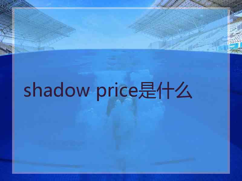 shadow price是什么