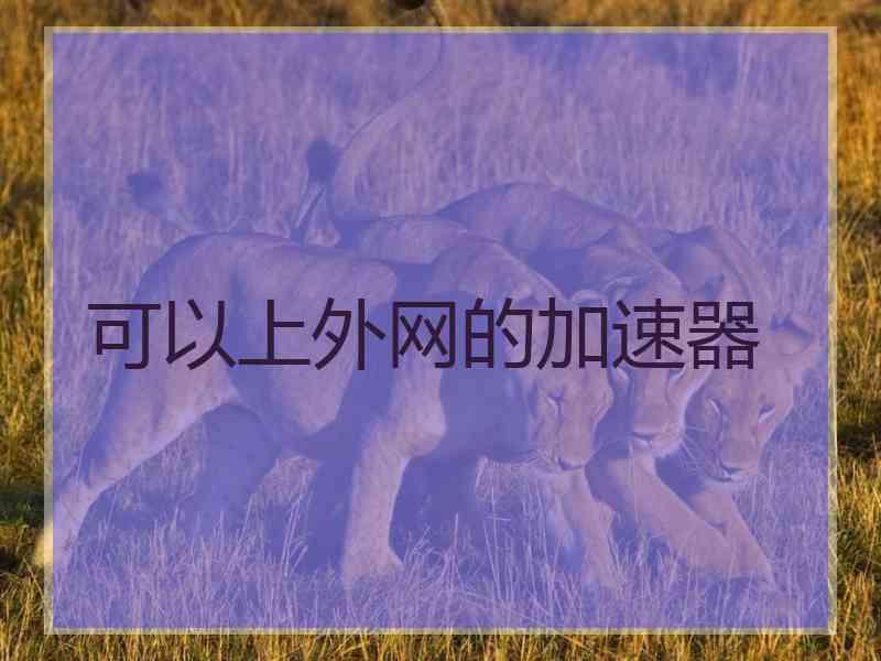 可以上外网的加速器